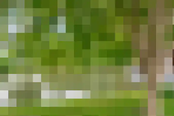 Plantage 4 Krimpen aan den IJssel thumbnail 33