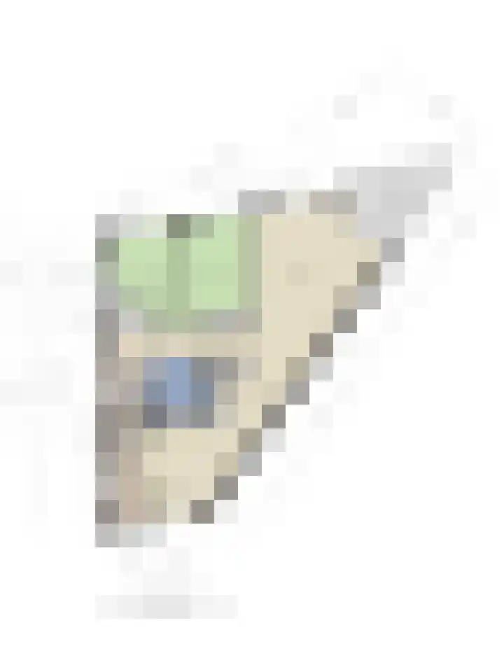 Plantage 4 Krimpen aan den IJssel thumbnail 34