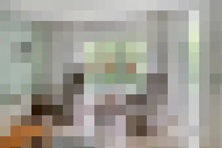 Plantage 4 Krimpen aan den IJssel thumbnail 4