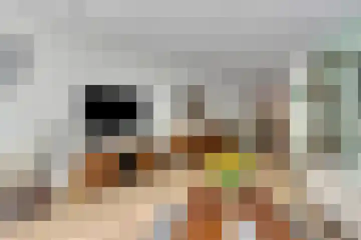 Plantage 4 Krimpen aan den IJssel thumbnail 5
