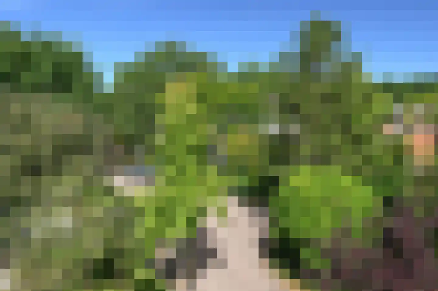Plantage 50 Baarn thumbnail 22