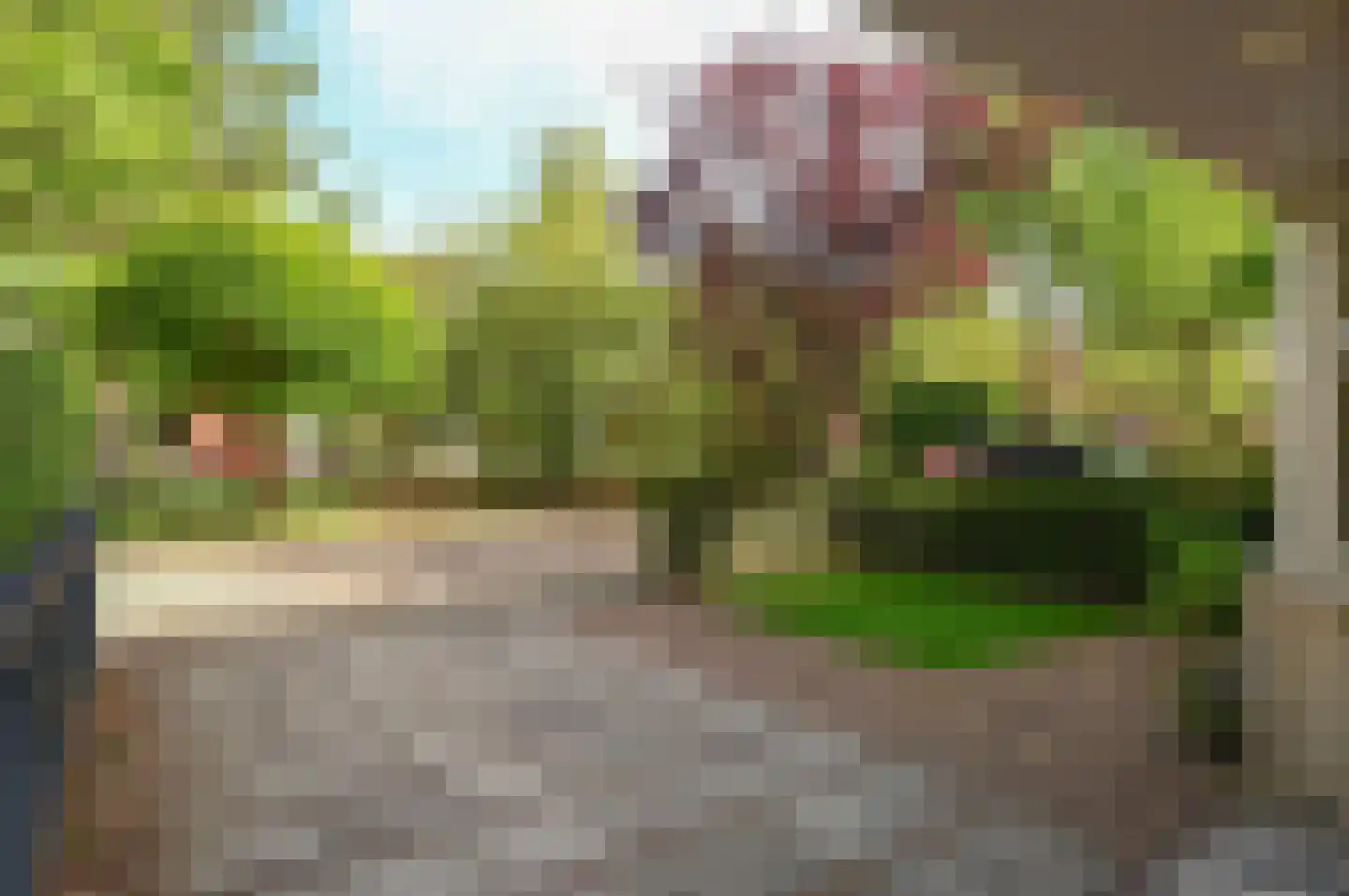 Plantage 50 Baarn thumbnail 26