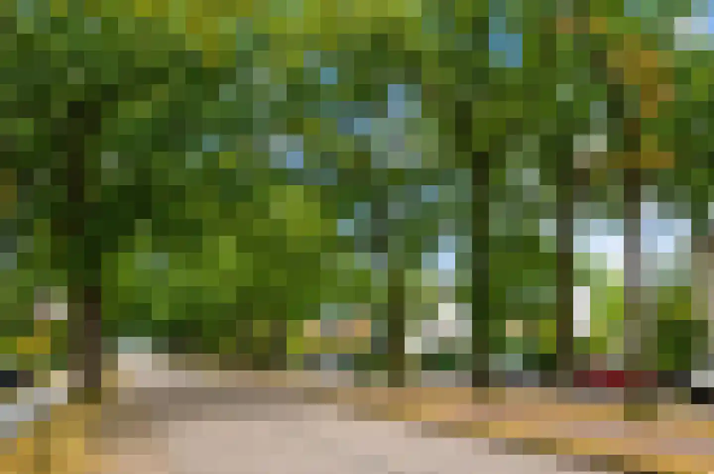 Plantage 50 Baarn thumbnail 28