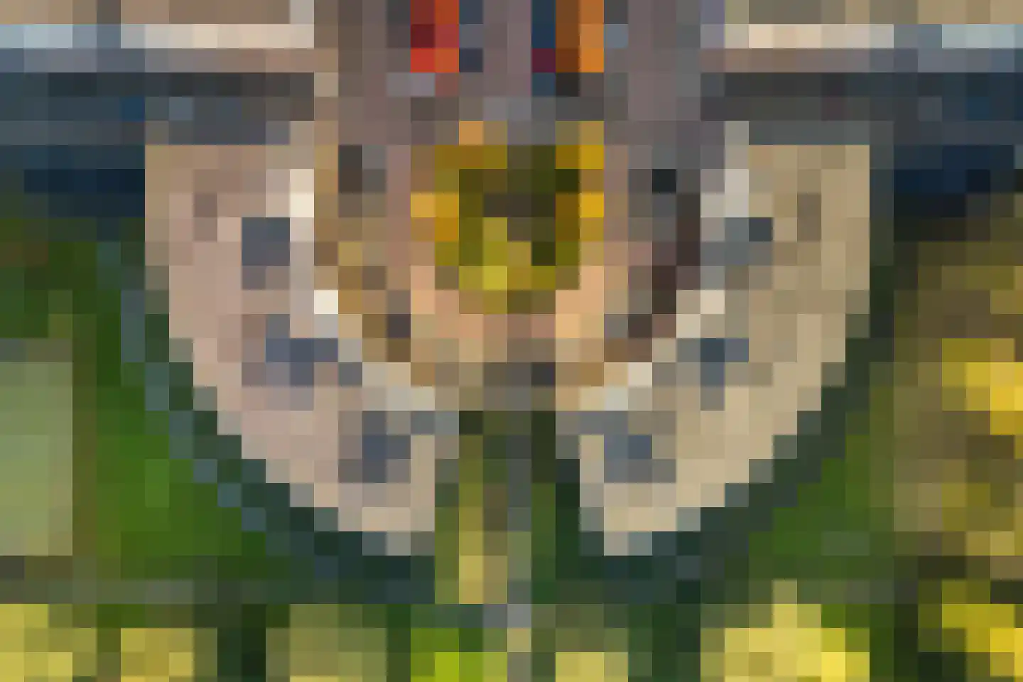 Plantage 93 Utrecht thumbnail 46