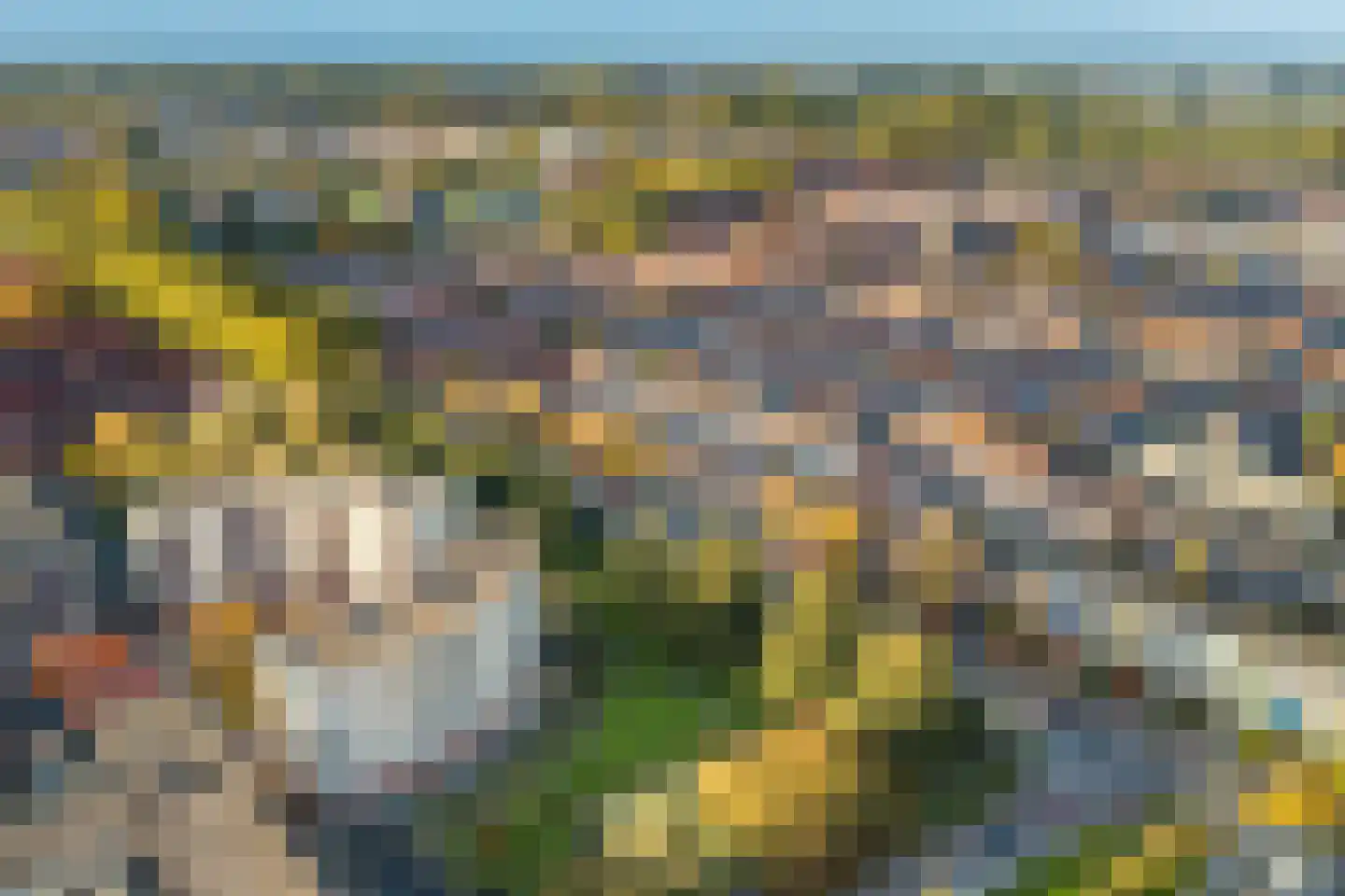 Plantage 93 Utrecht thumbnail 47