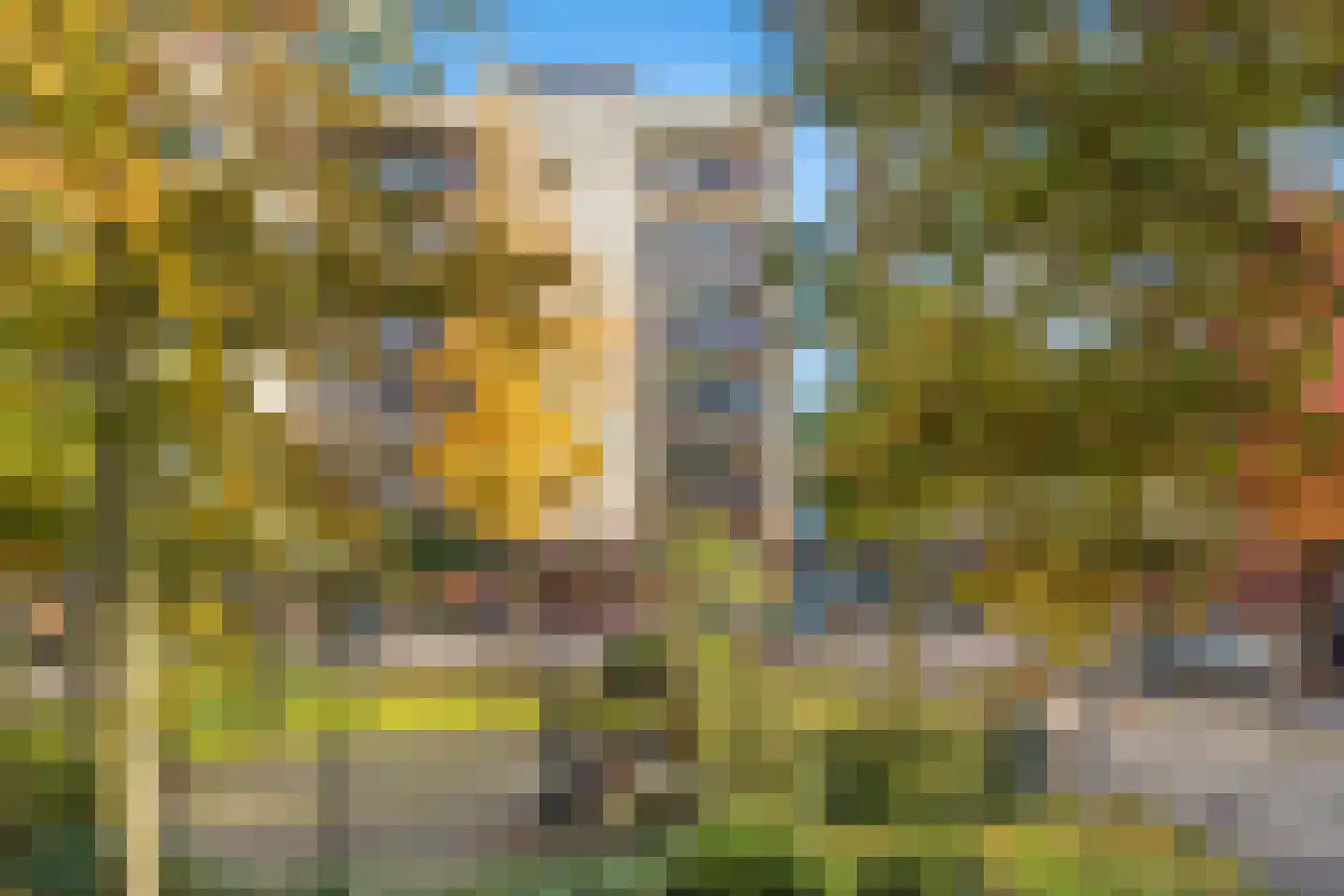 Plantage 93 Utrecht thumbnail 49