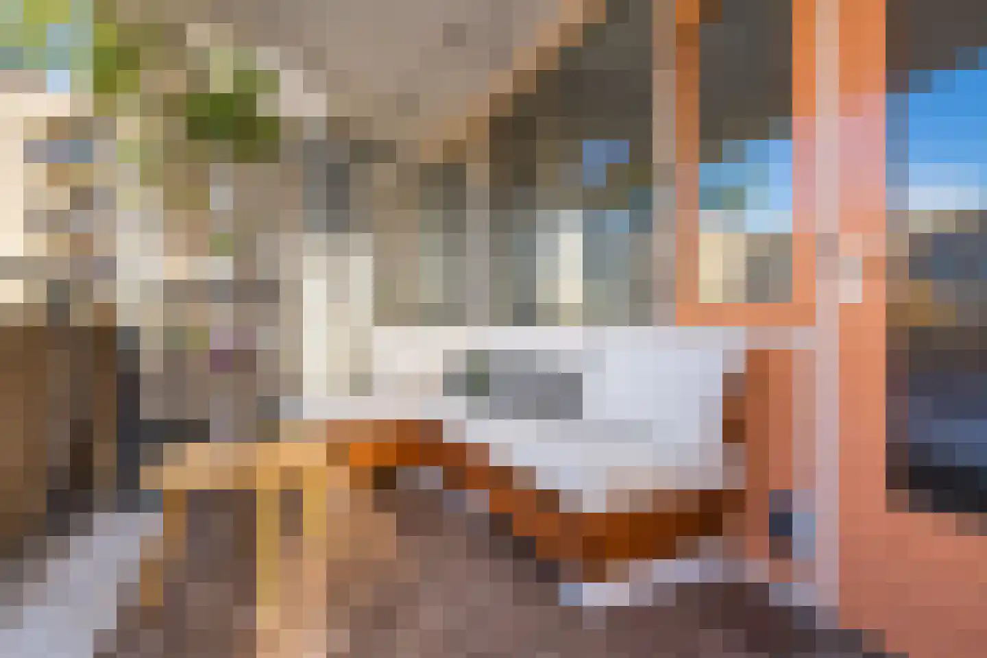Plantage 93 Utrecht thumbnail 6