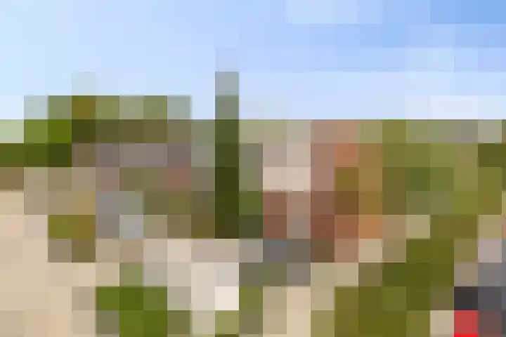Plantage 95 Lelystad thumbnail 32