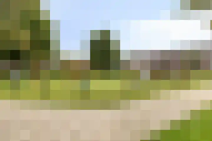 Plantage 95 Lelystad thumbnail 36