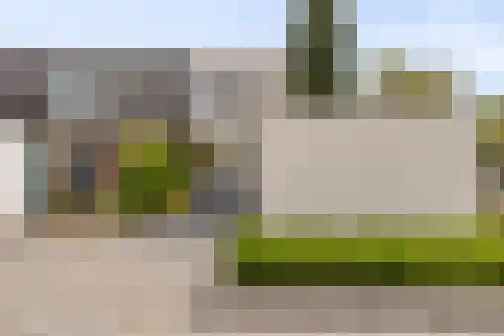Plantage 95 Lelystad thumbnail 4