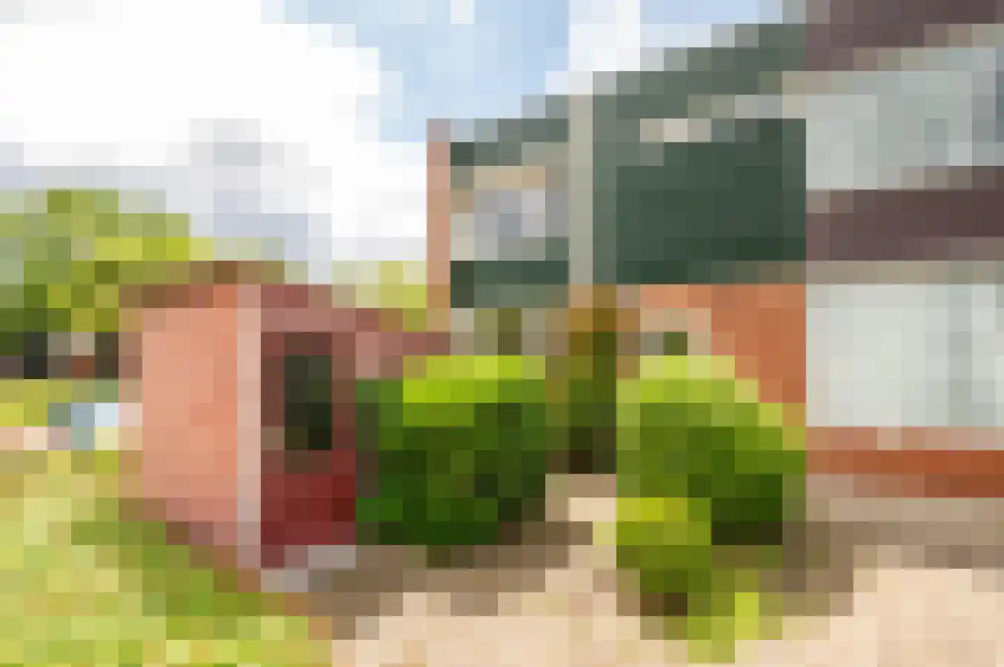 Plantage 96 Lelystad thumbnail 28