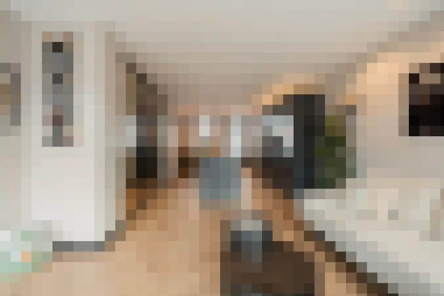 Plantage Badlaan 10 3 Amsterdam thumbnail 12
