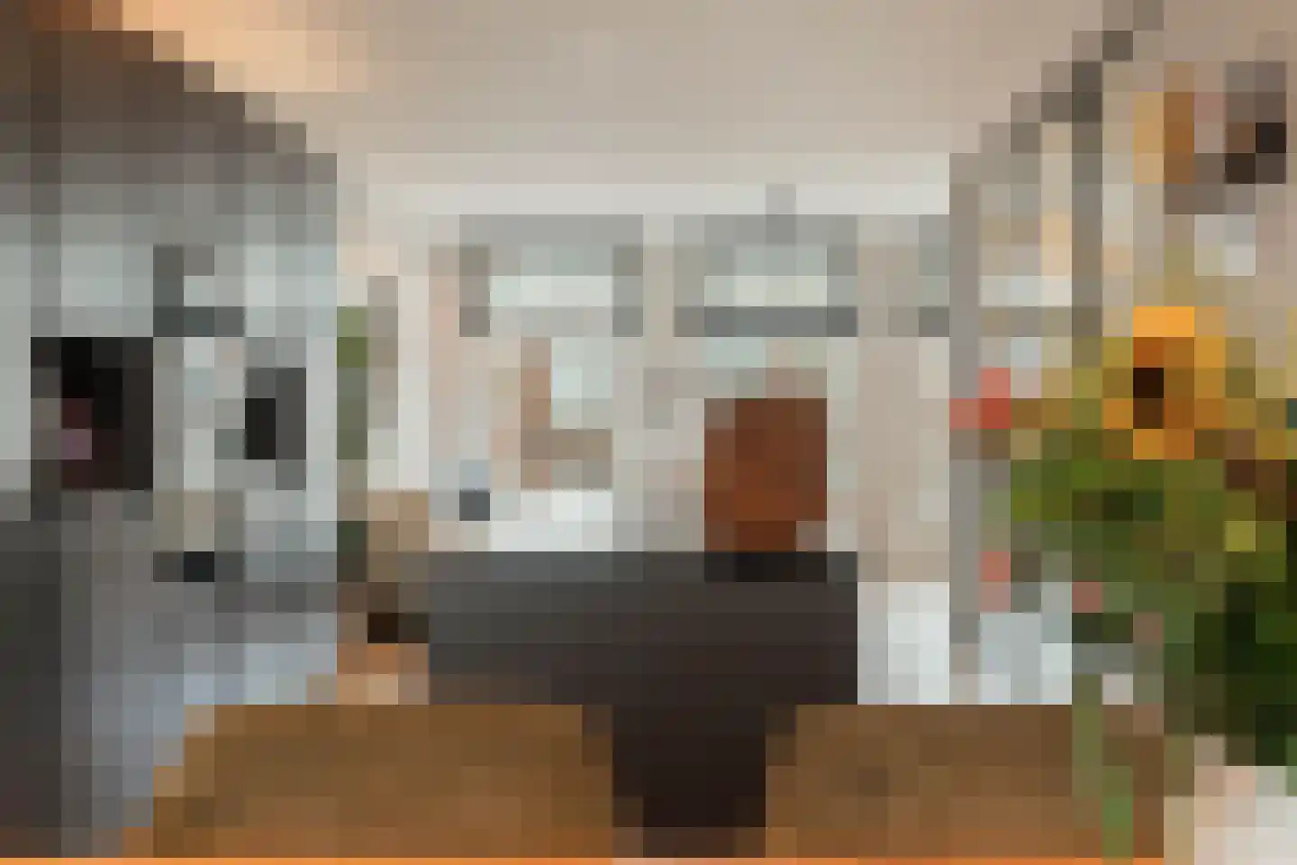 Plantage Badlaan 10 3 Amsterdam thumbnail 19