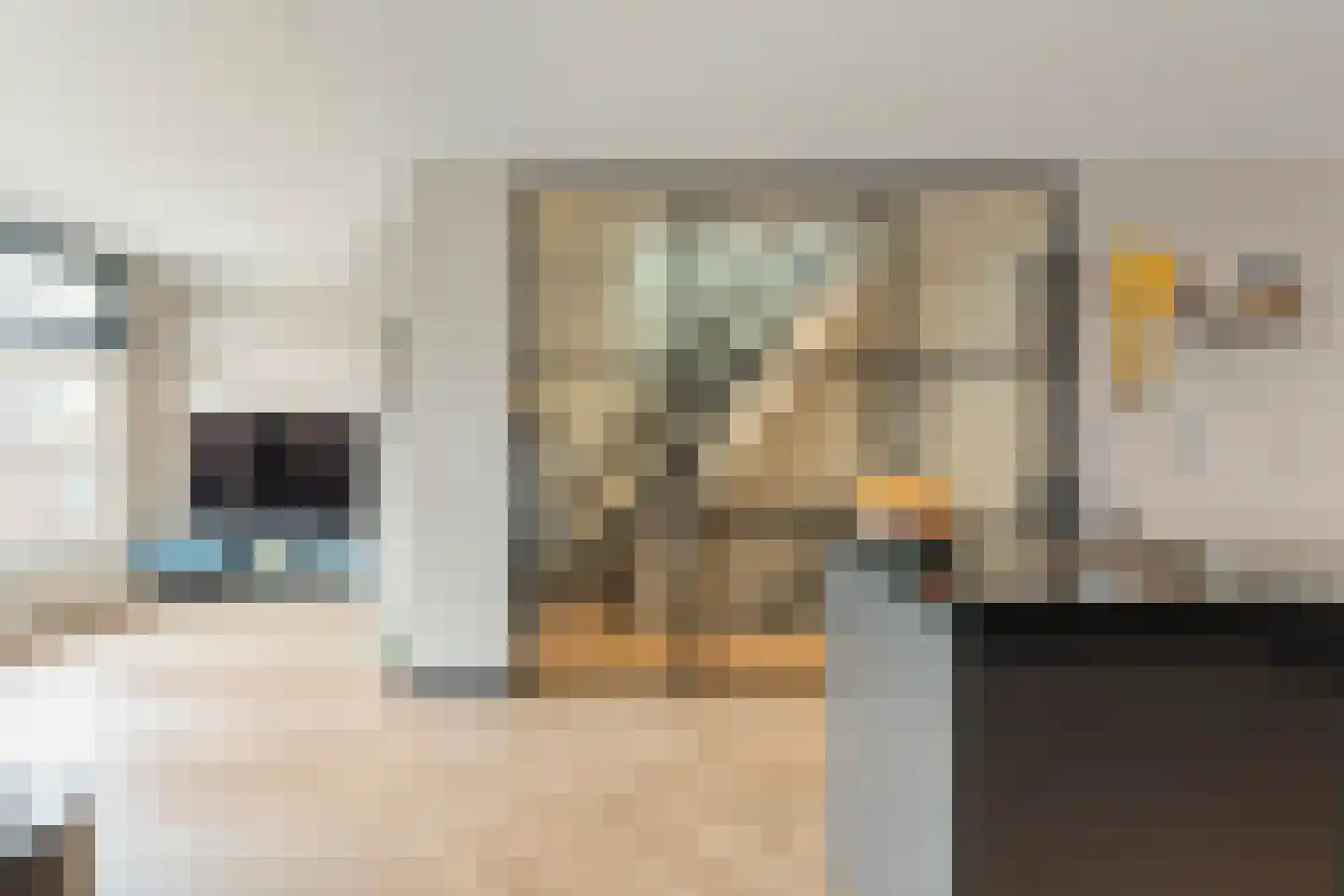 Plantage Badlaan 10 3 Amsterdam thumbnail 21