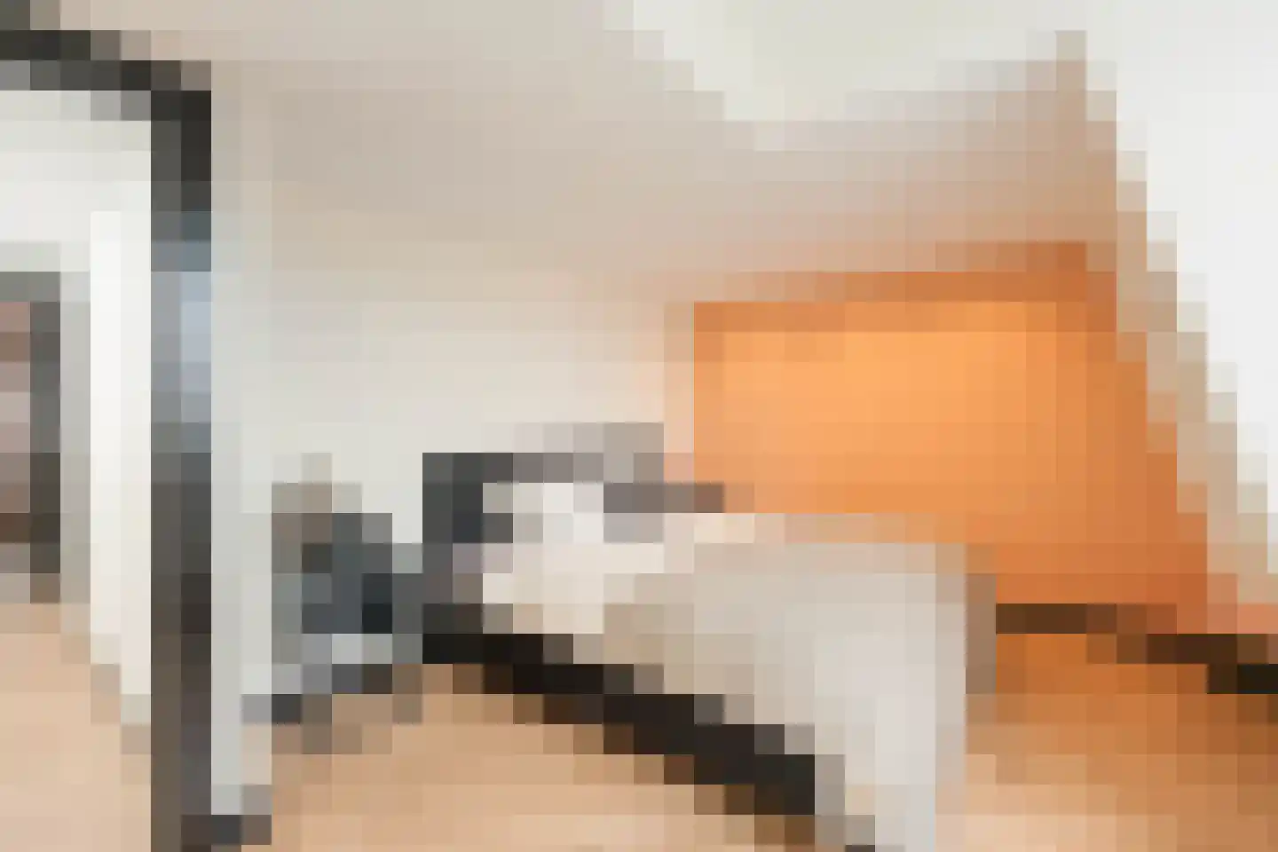 Plantage Badlaan 10 3 Amsterdam thumbnail 33