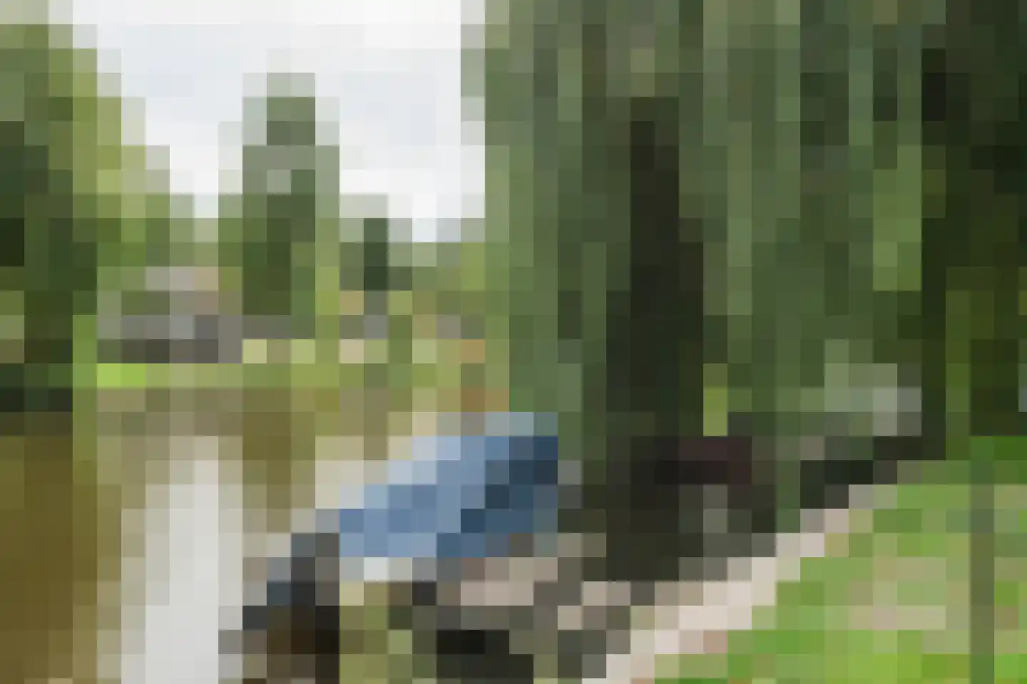 Plantage Badlaan 10 3 Amsterdam thumbnail 42