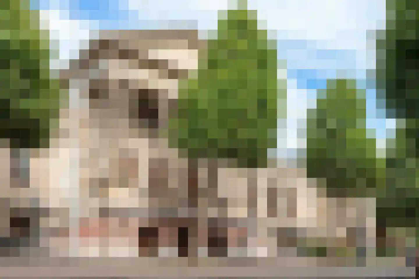 Plantage Badlaan 10 3 Amsterdam thumbnail 43