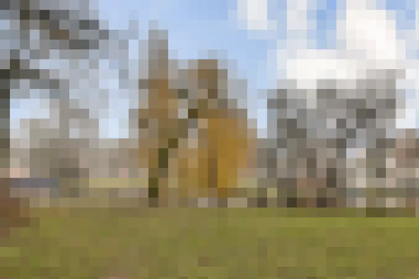 Plantage Badlaan 6 2 Amsterdam thumbnail 24