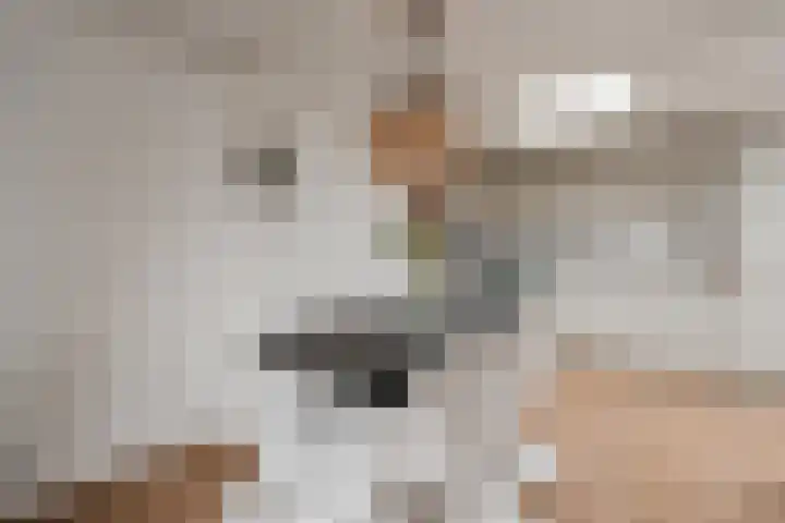 Plantage Badlaan 8 E Amsterdam thumbnail 10