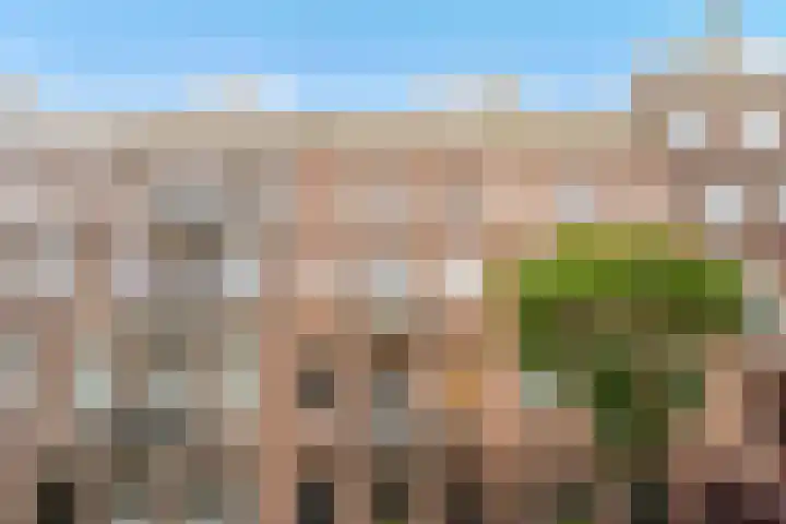 Plantage Badlaan 8 E Amsterdam thumbnail 28