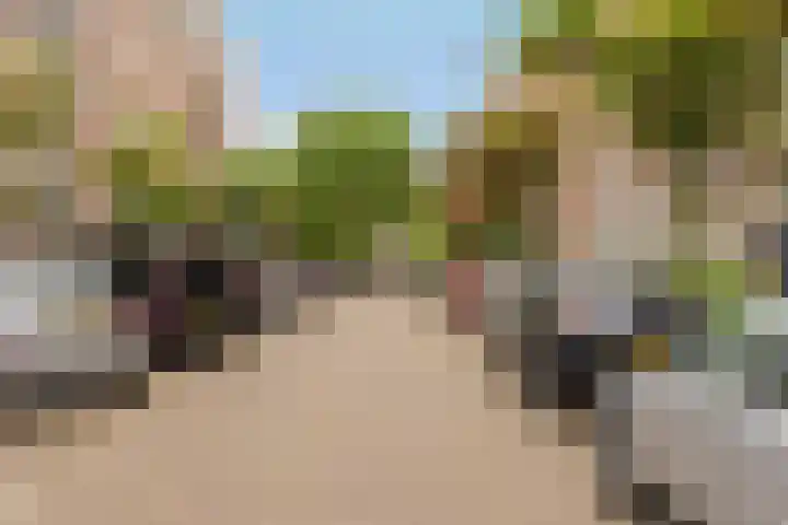 Plantage Badlaan 8 E Amsterdam thumbnail 29