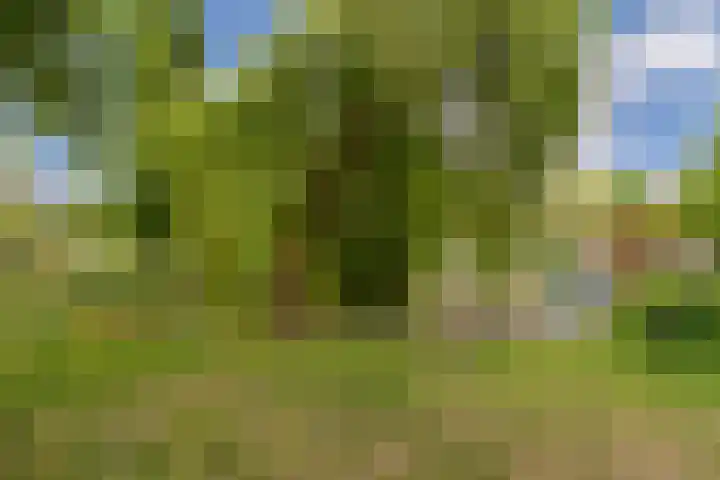 Plantage Badlaan 8 E Amsterdam thumbnail 31
