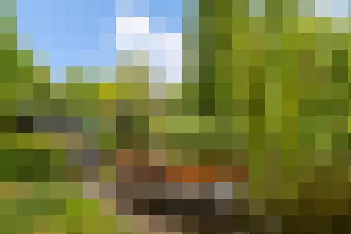 Plantage Badlaan 8 E Amsterdam thumbnail 32