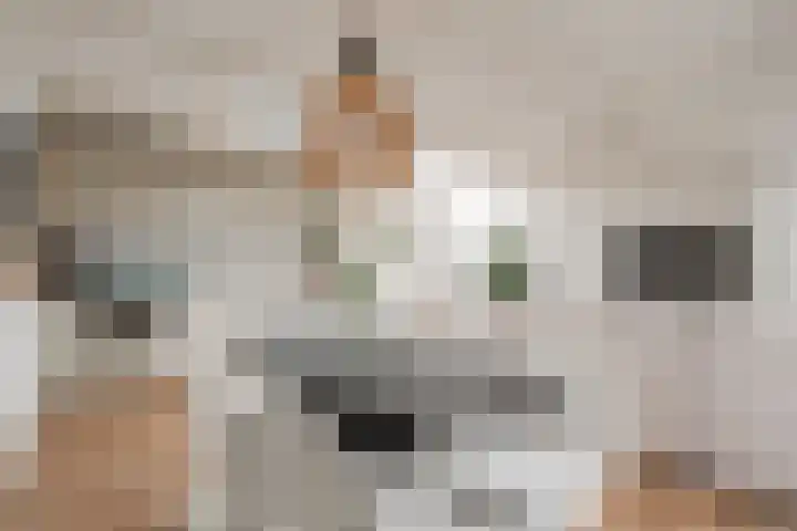 Plantage Badlaan 8 E Amsterdam thumbnail 5
