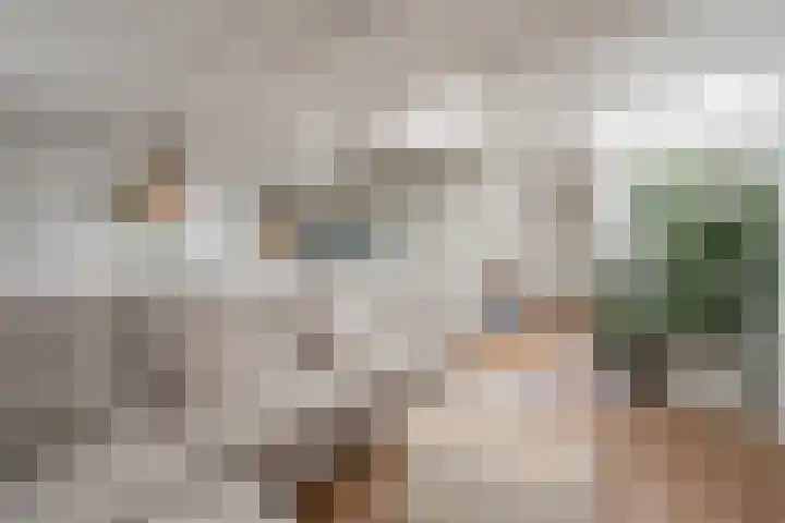 Plantage Badlaan 8 E Amsterdam thumbnail 9