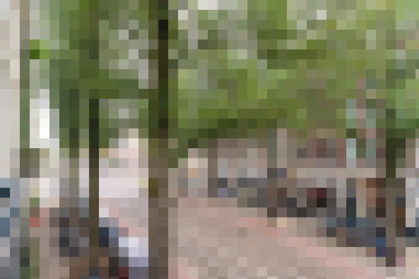 Plantage Kerklaan 13 2 Amsterdam thumbnail 10