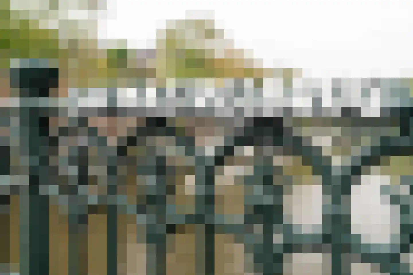 Plantage Kerklaan 13 2 Amsterdam thumbnail 22