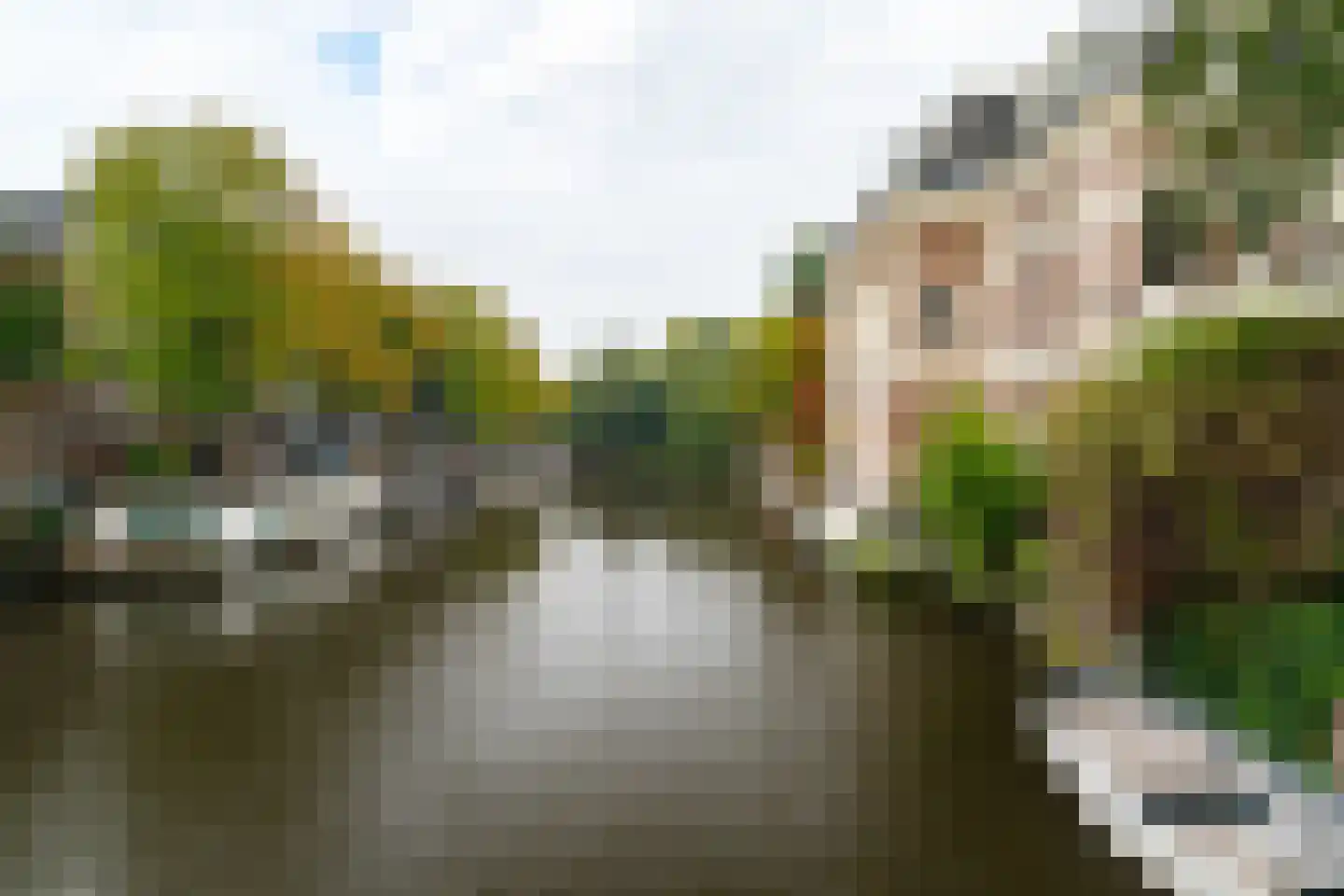 Plantage Kerklaan 13 2 Amsterdam thumbnail 23