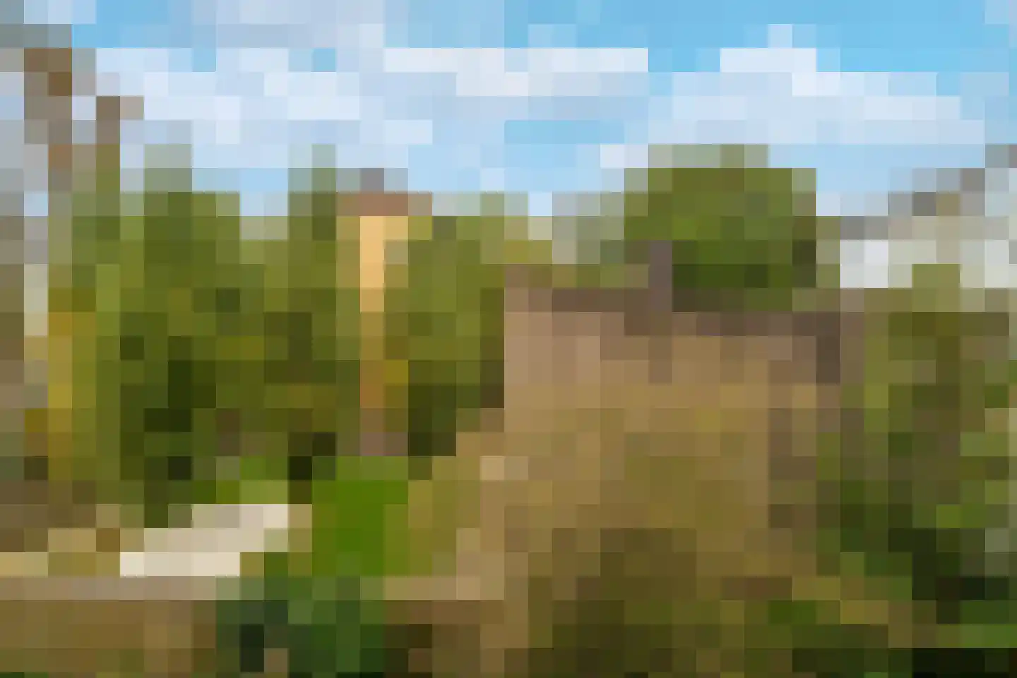Plantage Kerklaan 13 2 Amsterdam thumbnail 33