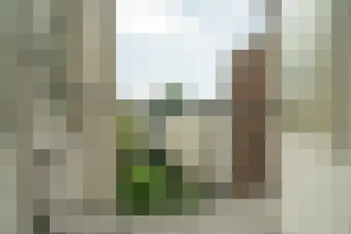 Plantage Kerklaan 16 O Amsterdam thumbnail 6