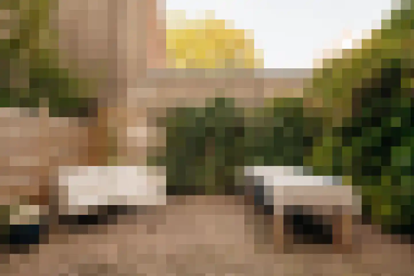 Plantage Kerklaan 17 H Amsterdam thumbnail 18