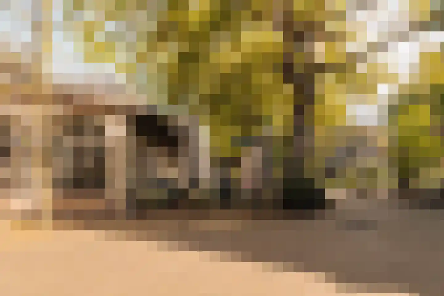 Plantage Kerklaan 17 H Amsterdam thumbnail 36