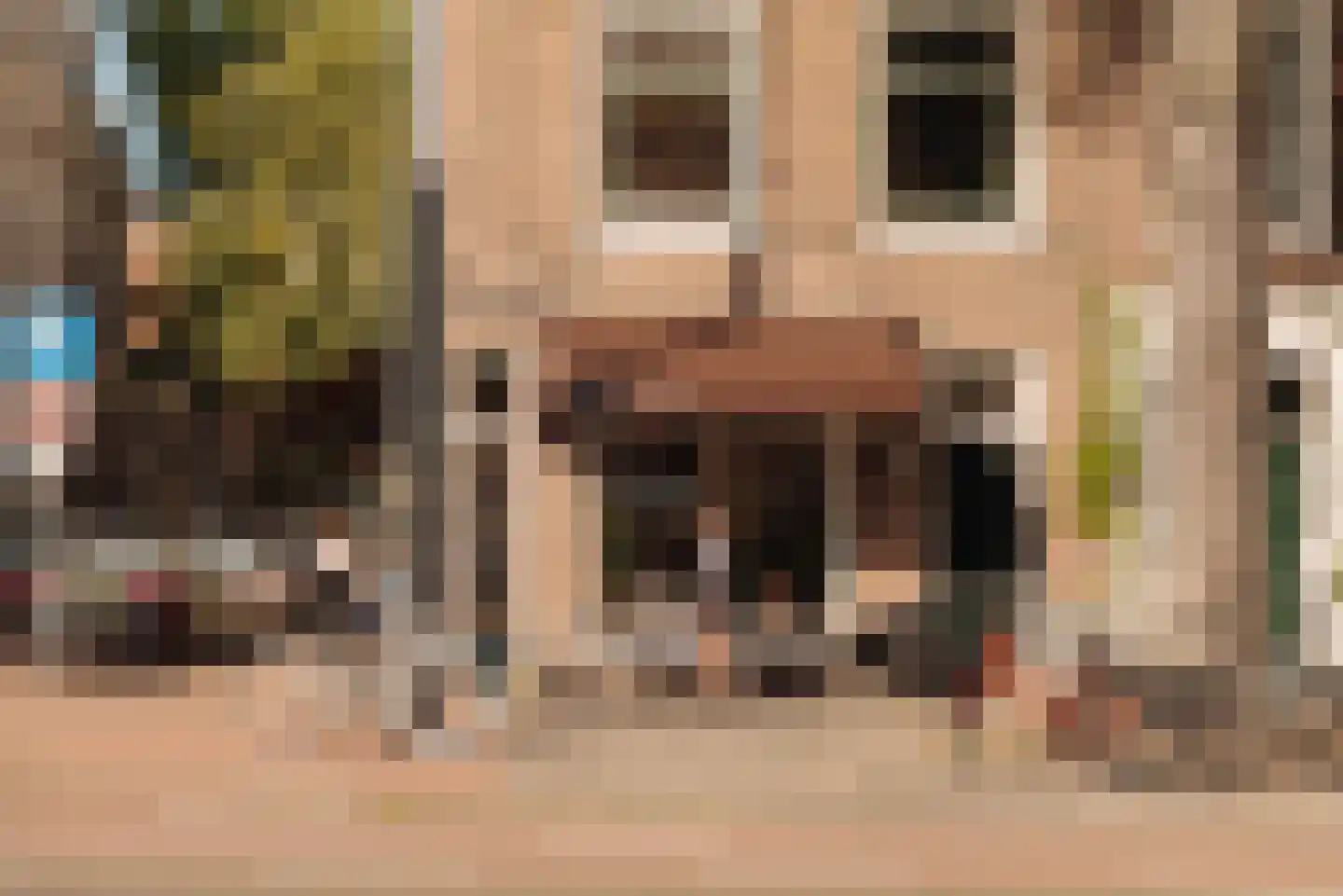 Plantage Kerklaan 17 H Amsterdam thumbnail 39