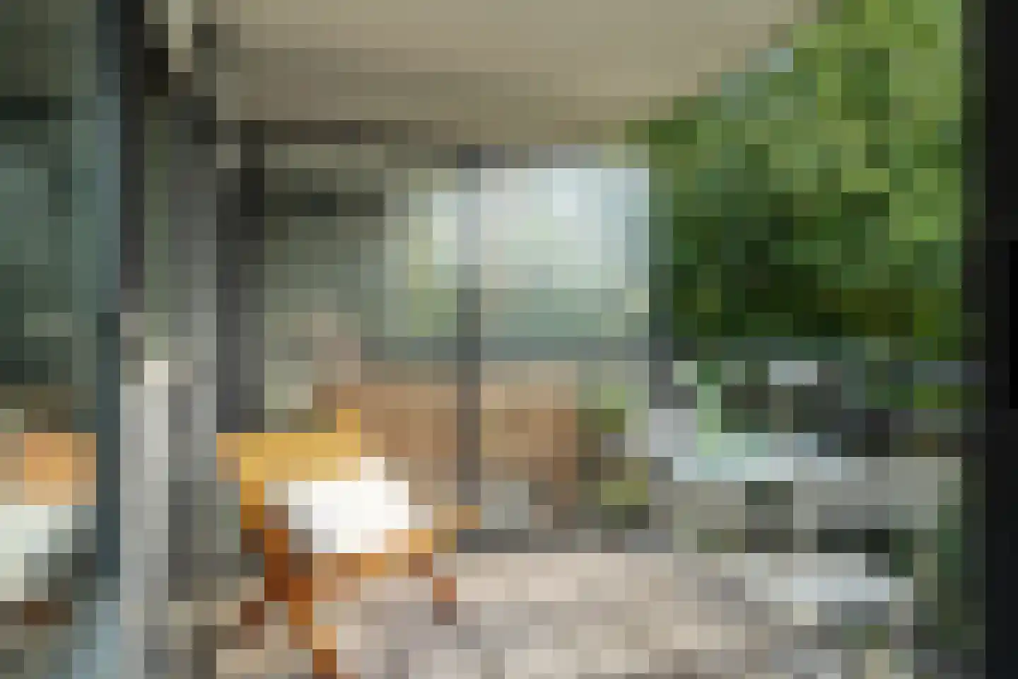 Plantage Kerklaan 177 Amsterdam thumbnail 6