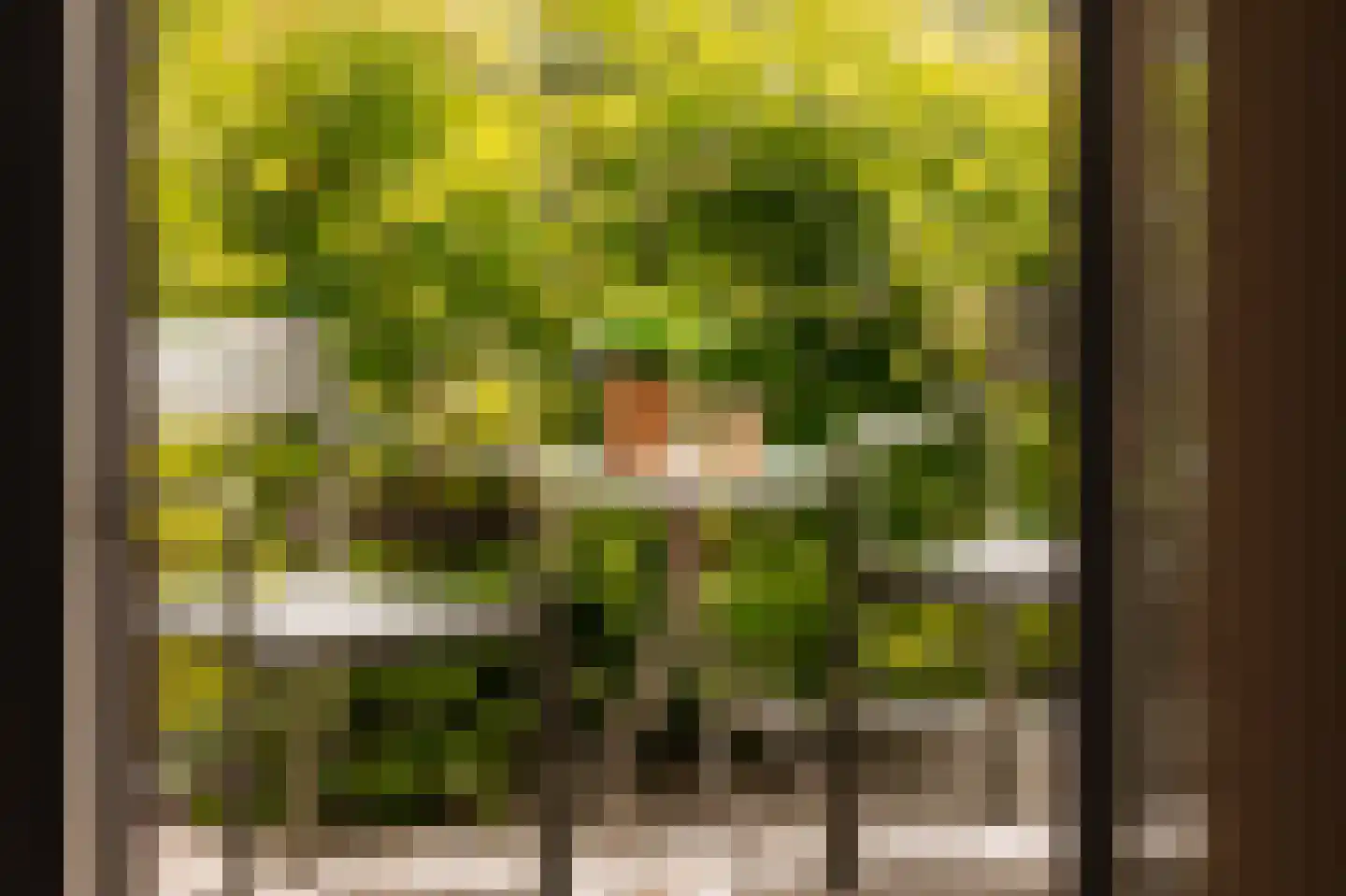 Plantage Kerklaan 22 1 Amsterdam thumbnail 13