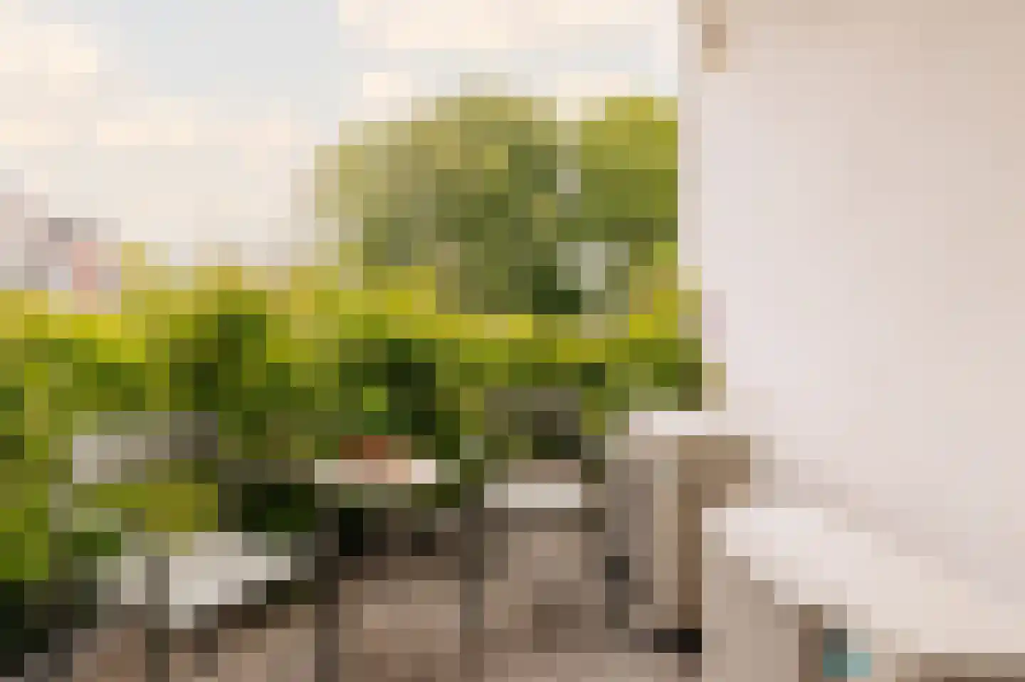 Plantage Kerklaan 22 1 Amsterdam thumbnail 15