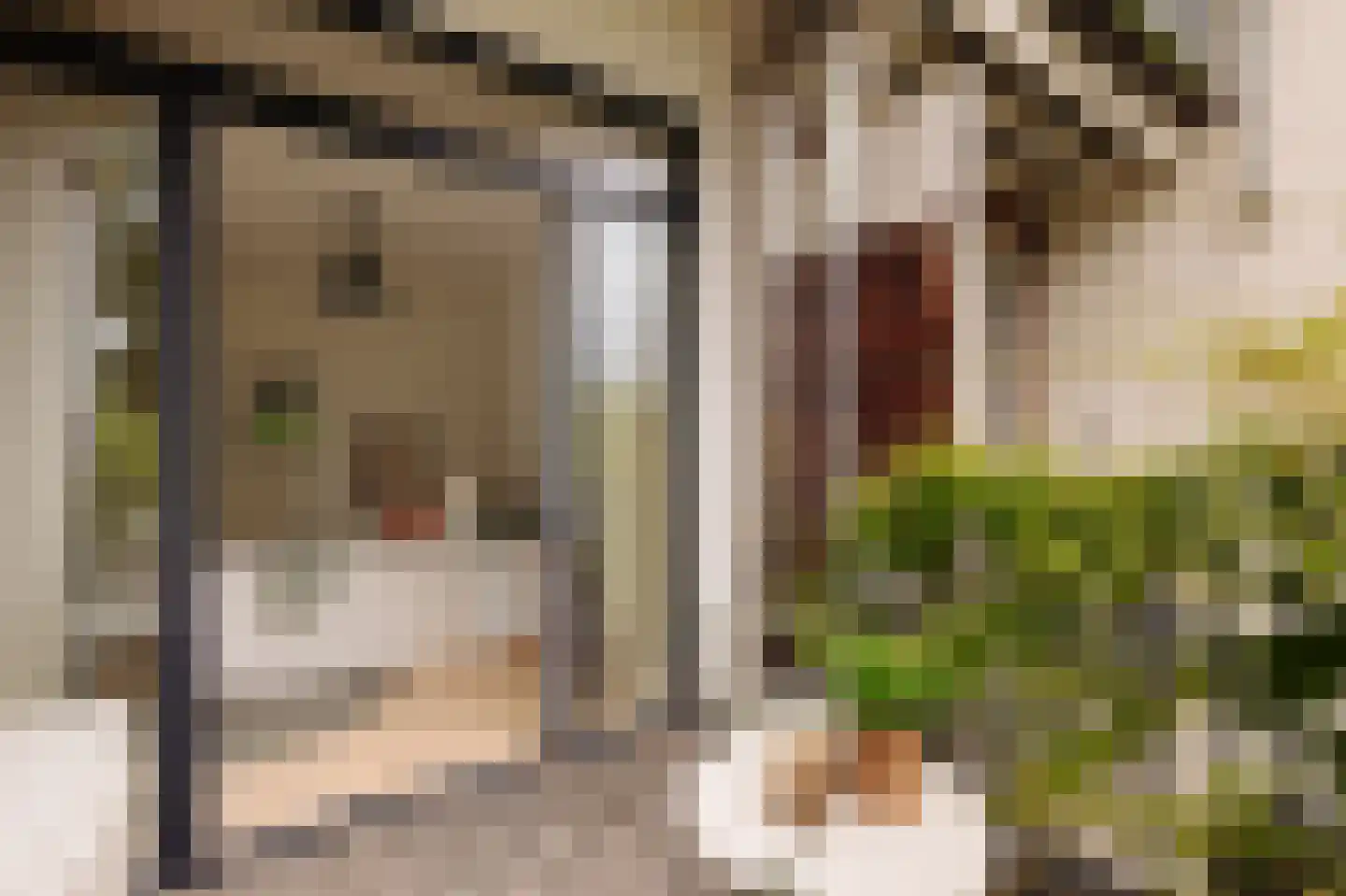 Plantage Kerklaan 22 1 Amsterdam thumbnail 16
