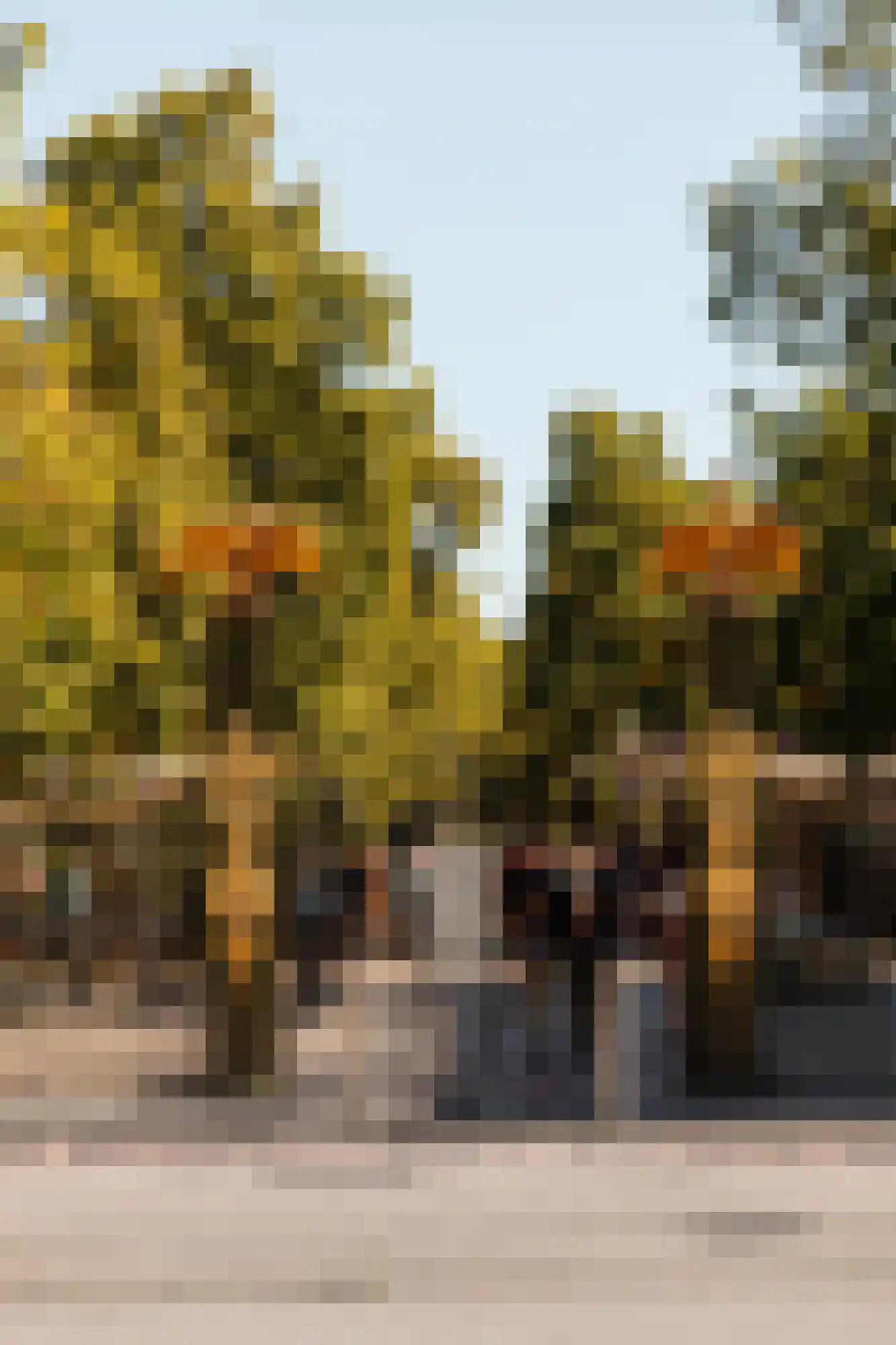 Plantage Kerklaan 22 1 Amsterdam thumbnail 24