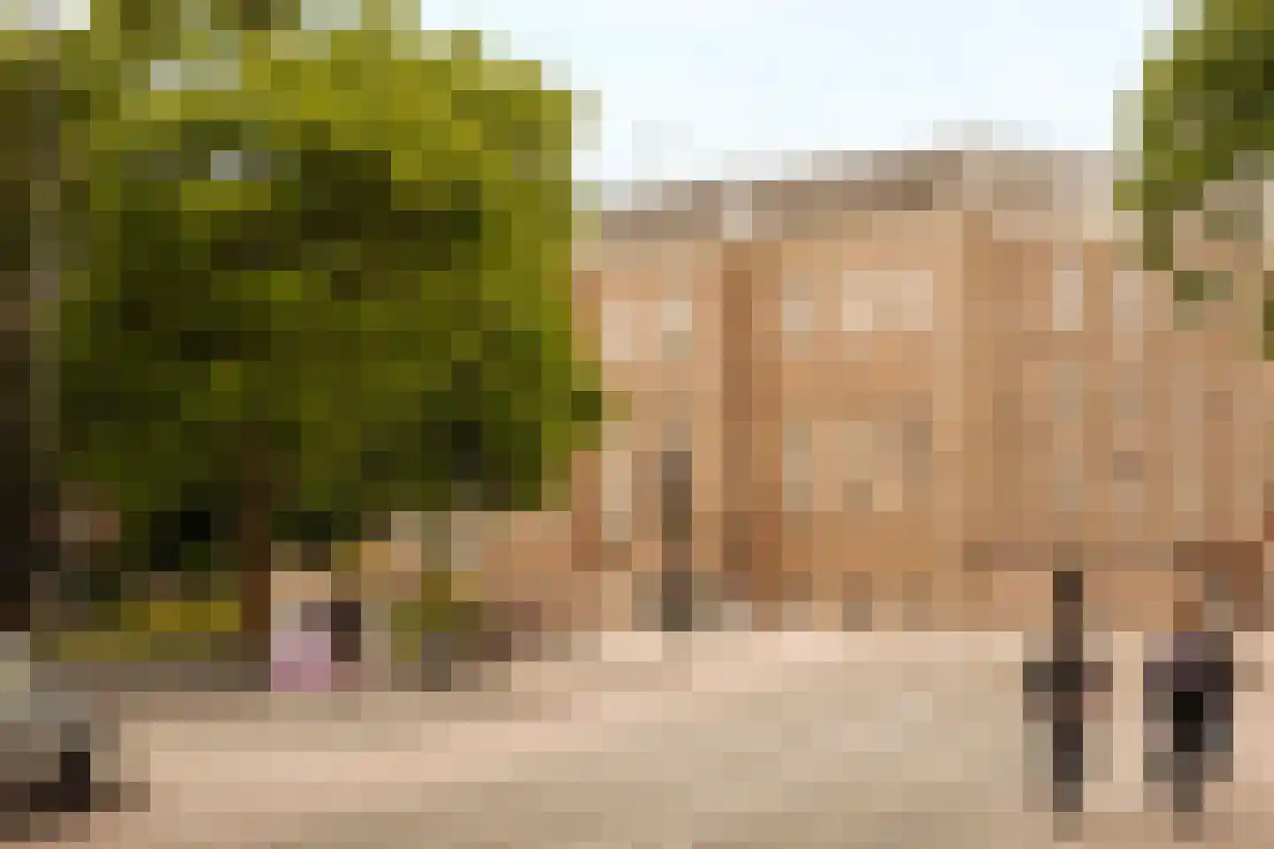 Plantage Kerklaan 22 1 Amsterdam thumbnail 25