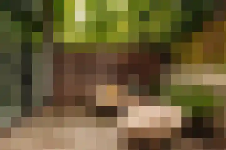 Plantage Kerklaan 22 H Amsterdam thumbnail 17