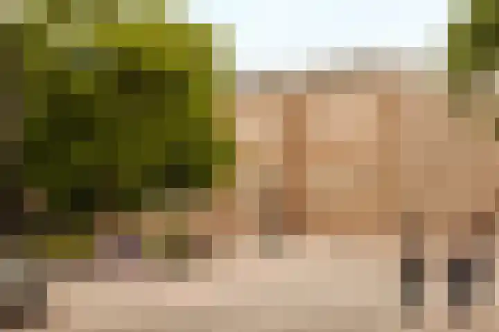 Plantage Kerklaan 22 H Amsterdam thumbnail 24
