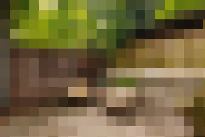 Plantage Kerklaan 22 H Amsterdam thumbnail 4