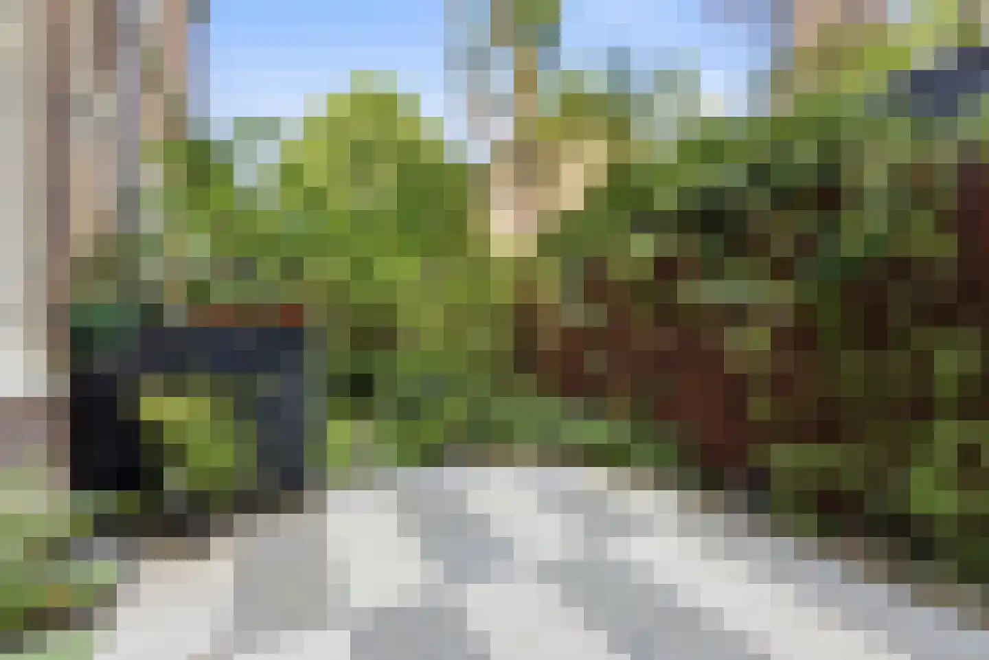 Plantage Kerklaan 5 H Amsterdam thumbnail 13