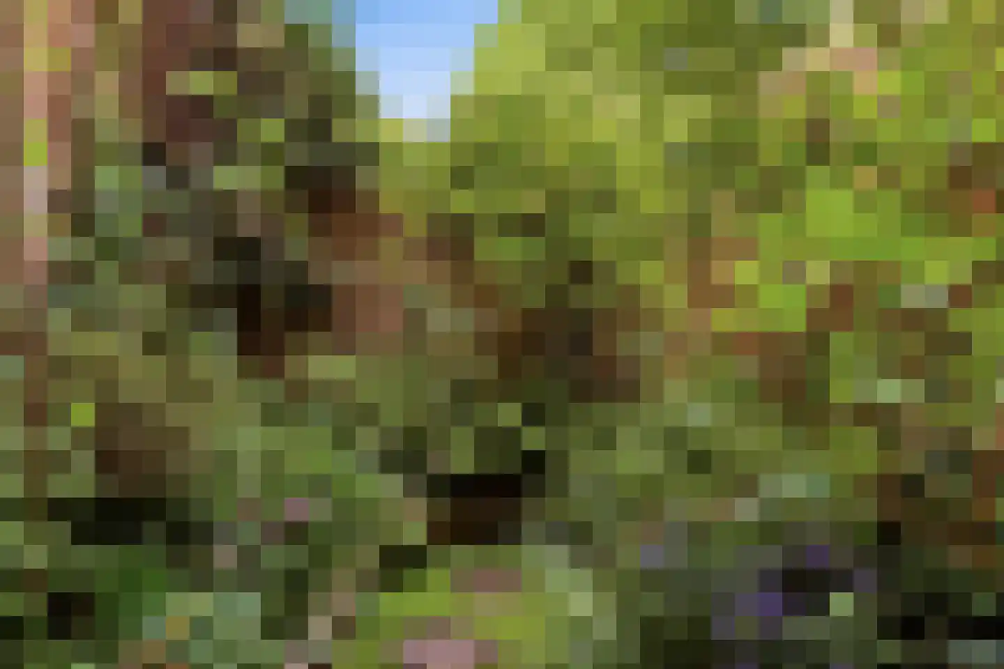 Plantage Kerklaan 5 H Amsterdam thumbnail 14
