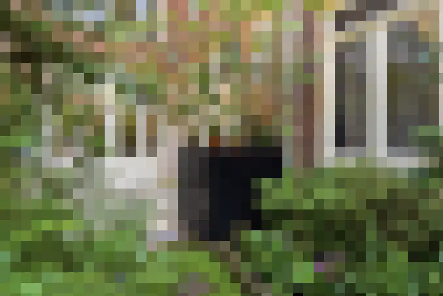 Plantage Kerklaan 5 H Amsterdam thumbnail 15