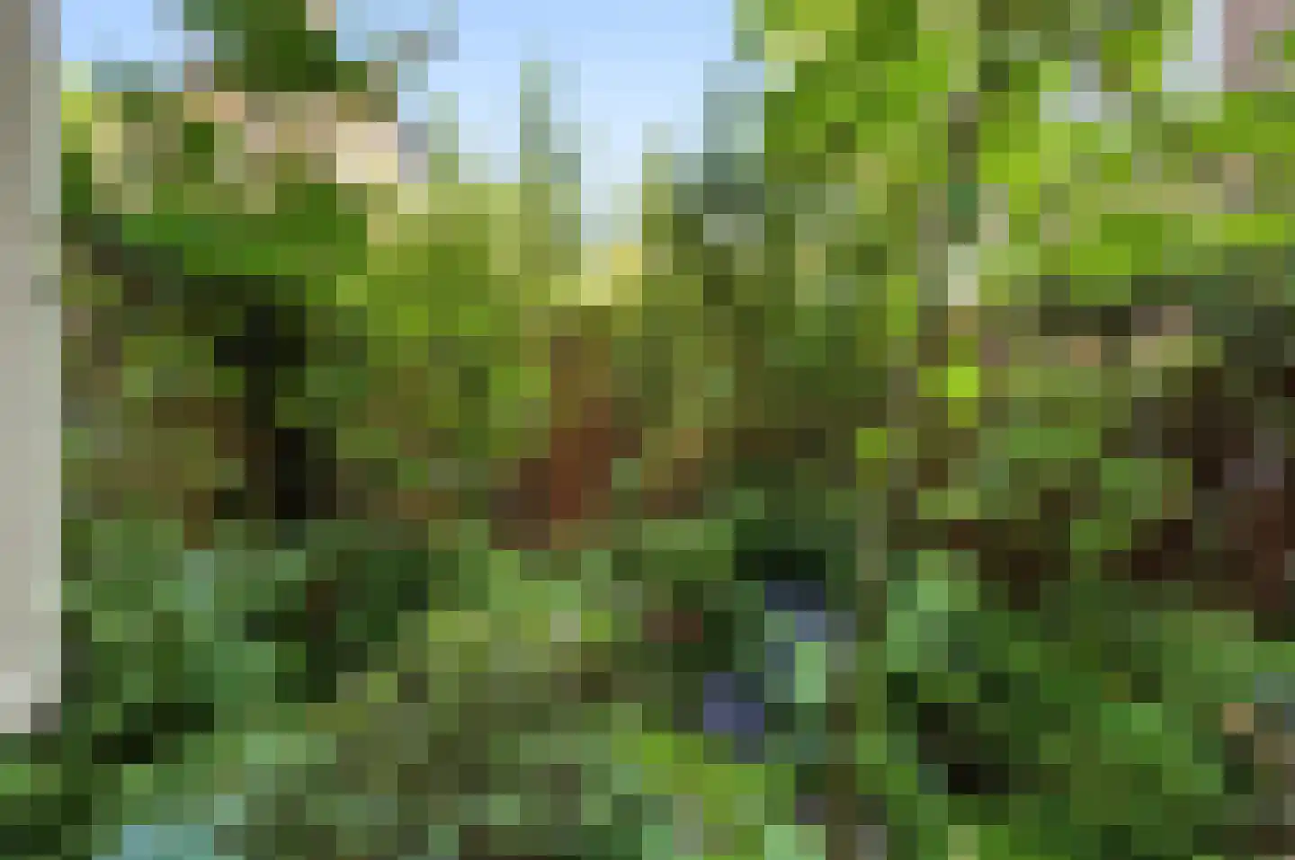 Plantage Kerklaan 5 H Amsterdam thumbnail 21